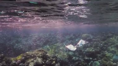 Denizde çöp. Denizde tıbbi maske. Tıbbi maskeler güneş ışığında yavaşça suyun altında sürükleniyorlar. Arka ışıklandırma. Çöp çevresi kirliliği sorunu