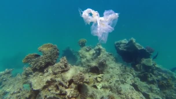 Skräp i havet. Plastförorening av havet. använd vit plastpåse som sakta glider över korallrevet, under vattnet, i solljuset. Problem med miljöförstöring av plastavfall — Stockvideo