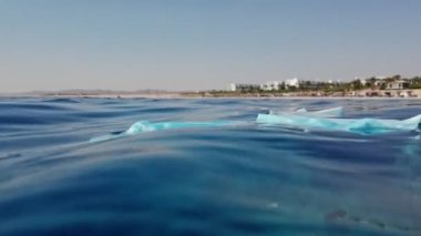 Denizde çöp. Denizi temizle. Denizde tıbbi maske. Sudaki çöpleri toplayın. Yakın plan. Erkek el atıkları yakalar, tıbbi maske kullanır. Birinci şahıs görüşü. Deniz ya da okyanus kirliliği. ortam