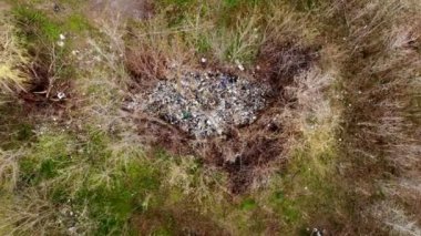 Ormandaki çöplük. Ekolojik bir sorun. Bahar ormanının ortasında yasadışı çöplük. Havadan görünüşlü. Bir yığın plastik torba, yiyecek atıkları, çöpler, açık havaya atılmış. Çevre kirliliği