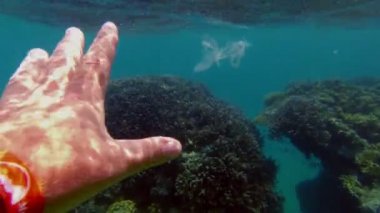 Denizde çöp. Denizi temizle. Sudaki çöpleri toplayın. Yakın plan. Erkek el atıkları yakalar, plastik torbalar kullanır. Birinci şahıs görüşü. Deniz ya da okyanus kirliliği. çevre koruması.