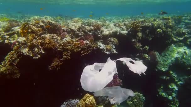 Skräp i havet. Plastförorening av havet. används, vita plastpåsar som sakta glider över korallrevet, under vattnet, i solljuset. Problem med miljöförstöring av plastavfall — Stockvideo