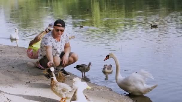 Enten füttern. Mann und Teenager sitzen am See oder Teich und füttern Enten mit Brot, im Stadtpark. Sommertag — Stockvideo