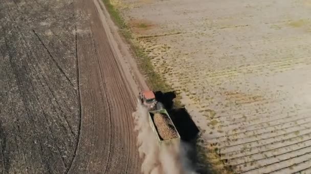 Patates hasadı. Patatesli kamyon. Traktör, yeni hasat edilmiş patateslerle dolu bir karavanla, tozlu, toprak bir yolda, tarımsal bir tarladan geçiyor.. — Stok video
