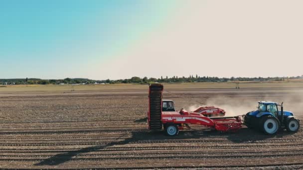 CHERKASSY, UKRAINE, SEPTEMBER 24, 2021: potato harvesting. potato harvester. Farm machinery, tractors and potato harvesters, are harvesting potatoes, on a farm field. Smart farming. aerial view. sunny — Stock Video