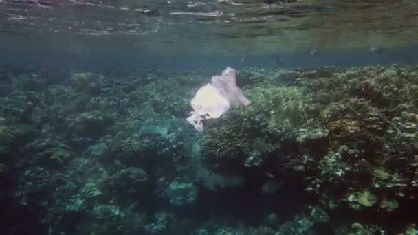 Śmieci w morzu. Plastikowe zanieczyszczenie morza. używane, białe plastikowe torby powoli dryfujące nad rafą koralową, pod wodą, w promieniach słonecznych. Problem zanieczyszczenia środowiska odpadami z tworzyw sztucznych — Wideo stockowe