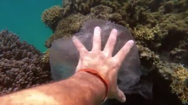 Denizde çöp. Denizi temizle. Sudaki çöpleri toplayın. Yakın plan. Erkek el atıkları yakalar, plastik torbalar kullanır. Birinci şahıs görüşü. Deniz ya da okyanus kirliliği. çevre koruması.