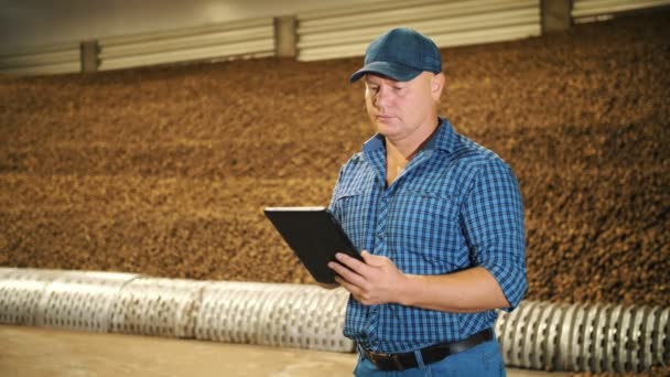 Potato harvesting. farming. In warehouse, farmer inspects quality of potato crop, using digital tablet. Potatoes storage in warehouse. potato raw materials for food industry. agriculture. — Stock Video