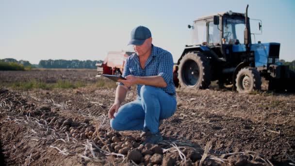 Aardappeloogst. boer met behulp van digitale tablet. op het landbouwveld, op de achtergrond van landbouwmachines. trekker met aardappeloogstmachine. slimme landbouw. landbouwtechnologieën — Stockvideo