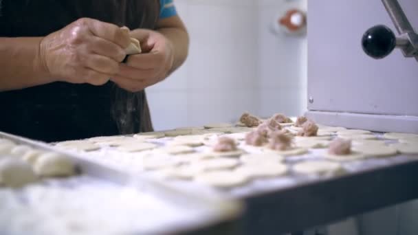 Halvfabrikat. matlagning. närbild. kockar händer lägga ut bitar av malet kött på deg för att göra dumplings, ravioli, pelmeni. buffé restaurang kök. — Stockvideo