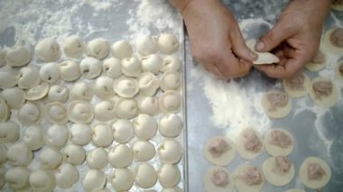 Yarı bitmiş ürünler. Yemek pişirmek. Yakın plan. Hamur, mantı, ravioli ve pelmeni yapmak için hamur üzerine doğranmış et parçaları serer. Açık büfe restoran mutfağı..