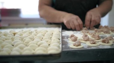 Yarı bitmiş ürünler. Yemek pişirmek. Yakın plan. Hamur, mantı, ravioli ve pelmeni yapmak için hamur üzerine doğranmış et parçaları serer. Açık büfe restoran mutfağı..