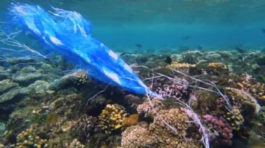 Denizde çöp. Denizin plastik kirliliği. Mavi plastik poşet güneş ışığında yavaşça suyun altında sürükleniyordu. Arka ışıklandırma. Plastik atık çevresel kirlilik sorunu