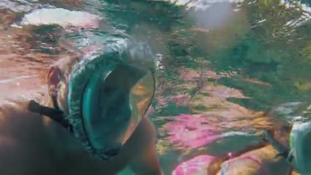 Nurkowanie z rurką. Pływanie. nurkowanie. Mężczyzna z nastolatką, w maskach do nurkowania, odkrywa podwodny świat morski. rafa koralowa z niezliczoną ilością kolorowych, egzotycznych ryb rafowych. — Wideo stockowe
