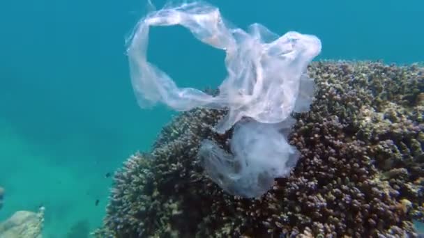 Сміття в морі. Пластикове забруднення моря. використовувані, білі пластикові пакети повільно дрейфують над кораловим рифом, під водою, на сонячних вогнях. Проблема забруднення пластикових сміття — стокове відео