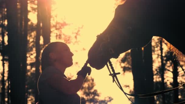 Lószerelem. Egy fiatal nő és a lova sziluettjei, naplementekor, a nyári erdőben. háttérvilágítás. Barátság ember és ló között. Részesedés. — Stock videók