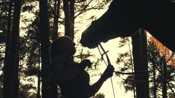 Amor de cavalo. Silhuetas de uma jovem e seu cavalo, ao pôr do sol, na floresta de verão. Luz de fundo. amizade entre homem e cavalo. Equitação. — Vídeo de Stock