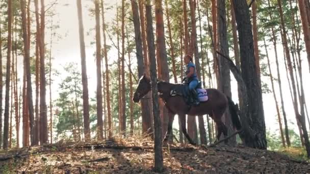 Lovaglás. Egyenlőség. Fiatal nő, a lovas barna lovon lovagol az erdőben, a nyári napsütésben, napsugarakban.. — Stock videók