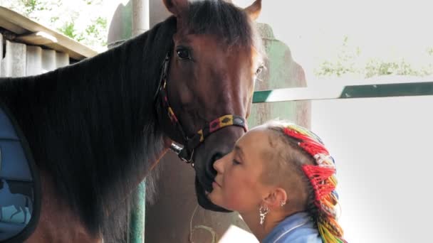 Φροντίδα αλόγων. Η αλογογυναίκα με το άλογό της. Το άλογο δίνει ένα φιλί. Φροντίζω τα κατοικίδια. Αγάπης αλόγων. Ιππασία. Εξίσωση. — Αρχείο Βίντεο