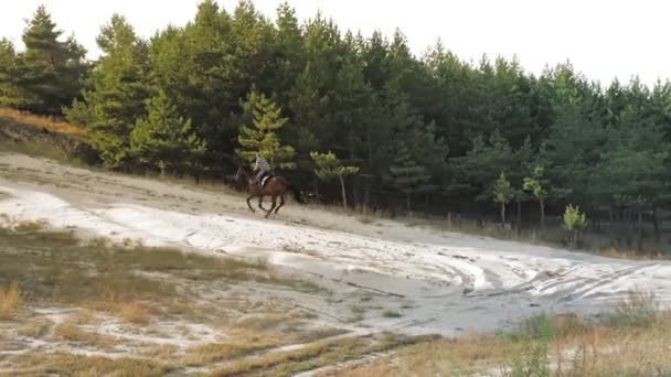 骑马。方程。年轻的女子，骑着马在松树林附近的一条沙地路上疾驰，夕阳西下，阳光灿烂. — 图库视频影像