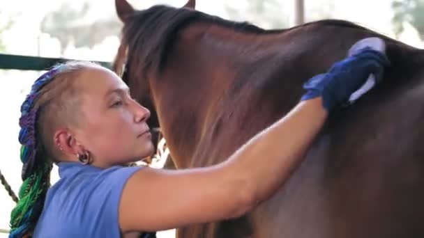 Postarej se o koně. stáj. Mladá žena pečuje o svého koně a uklízí jeho tělo štětcem na farmě, během dne. Starat se o mazlíčky. Koňská láska. — Stock video