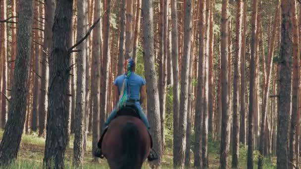 Horse riding. Equitation. Young woman, horseman is riding brown horse in the forest, on summer sunny day, in sun rays. — Stock Video