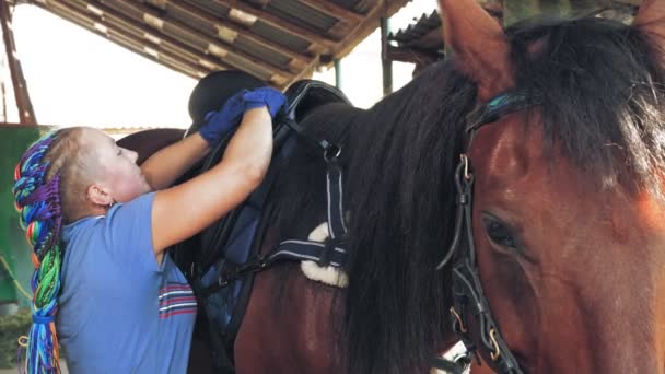 말 관리. 호스맨 은 말을 경마하고 승마를 위한 팔프리 를 준비 한다. 동등 함. Jockeyship 입니다. 동질 주의. 동등 한 스포츠. 말타기. — 비디오