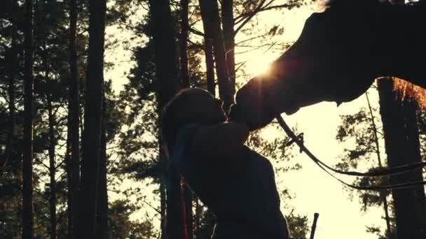 Pferdeliebe. Silhouetten einer jungen Frau und ihres Pferdes bei Sonnenuntergang im sommerlichen Wald. Gegenlicht. Freundschaft zwischen Mensch und Pferd. Pferdesport. — Stockvideo