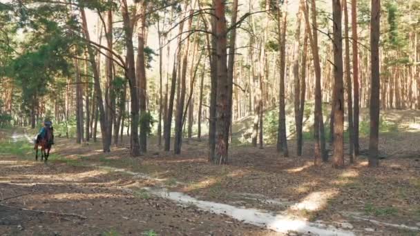 Montar a caballo. Equitación. Mujer joven, jinete está montando caballo marrón en el bosque, en el día soleado de verano, en los rayos del sol. — Vídeo de stock