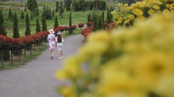 Bahçe düzenleme, çiçek tasarımı. Çiçek açan petunyalar. Botanik Bahçesi. Botanik bahçesi. İki kız, turist, parkta romantik bir sokakta yürüyorlar. — Stok video