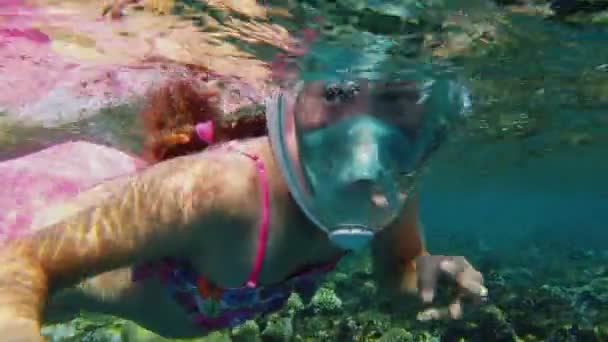 Snorkling. Simmar. Dykning. tonårstjej, i en snorklande mask, utforskar undervattens korallrev med otaliga färgglada, exotiska, revfiskar. undervattens korallrev. — Stockvideo