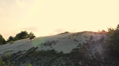 Ata binmek. Malzeme. Atlı kadının silueti kumlu bir tepede ata biniyor, çam ormanlarının tepesinde, gün batımında, ılık yaz güneşlerinde.