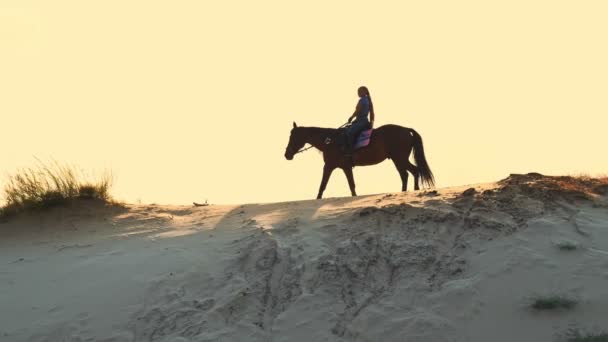 Ιππασία. Αγάπης αλόγων. Σιλουέτα της έφιππης, ιππασία ενός αλόγου σε πανύψηλο αμμώδη λόφο στο ηλιοβασίλεμα, σε ζεστές ακτίνες του ήλιου το καλοκαίρι. φανάρι. — Αρχείο Βίντεο