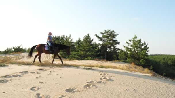Passeios a cavalo. Equitação. Jovem cavaleira está montando cavalo através de dunas de areia, ao longo da estrada arenosa, entre a floresta de pinheiros, ao pôr do sol, em raios de sol quentes de verão. — Vídeo de Stock