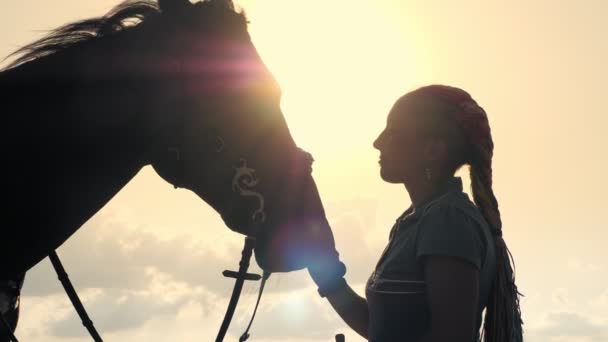 Passeios a cavalo. Amor de cavalo. Silhuetas de uma jovem e seu cavalo, ao pôr-do-sol, no fundo do céu e raios de sol backlight. amizade entre homem e cavalo. Equitação. — Vídeo de Stock