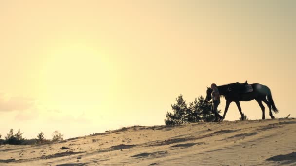 Équitation. Silhouette de cavalière, marchant avec un cheval, le long de l'horizon d'une colline de sable imposante, au coucher du soleil, sur fond de ciel et contre-jour des rayons du soleil. — Video