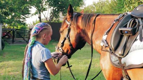 Soin des chevaux. Le cavalier enlève le harnais du cheval de la baie après avoir monté. De l'équitation. jockeyship. équestre. Sport équestre. Équitation. — Video