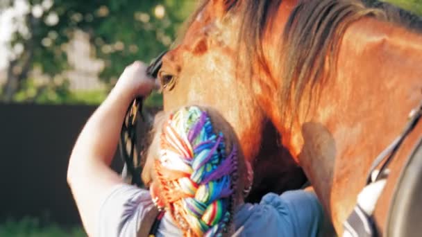 Cuidado del caballo. El jinete se quita el arnés del caballo de la bahía después de montar. Equitación. jockeyship. equestrianismo. Deporte ecuestre. Montar a caballo. — Vídeo de stock