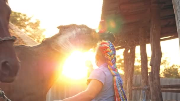 Φροντίδα αλόγων. νεαρή γυναίκα πλένει ένα άλογο, χρησιμοποιώντας ένα σωλήνα ψεκασμού, στο ηλιοβασίλεμα, κάτω από το φως του ζεστού καλοκαιρινού ηλιακού φωτός, σε ένα ράντσο ή σε ένα αγρόκτημα. διαδικασία πλύσης του αλόγου — Αρχείο Βίντεο