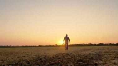 Çiftçi gün batımında yürüyor. Çiftçilik. Çiftçi silueti. Elinde dijital tabletle, gün batımında ya da yükselen güneşin altında biçilmiş bir tarlada yürüyen çiftçi. tarım tarım sektörü kavramı.