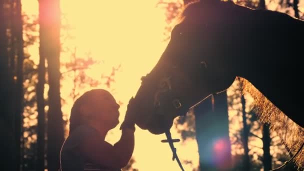 Końska miłość. Sylwetki młodej kobiety i jej konia, o zachodzie słońca, w letnim lesie. podświetlenie. przyjaźń między człowiekiem a koniem. Równowaga. — Wideo stockowe
