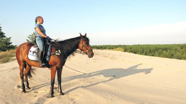 Équitation. De l'équitation. cavalier ombre. cavalière monte un cheval sur un sol sablonneux, au coucher du soleil, avec une grande ombre sur le sable, sur le côté — Video