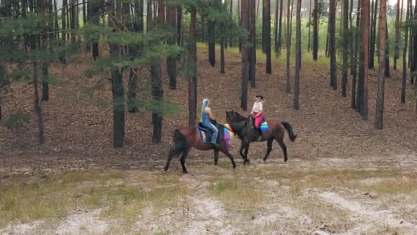 - Igen, uram. szivárvány. azonos nemű szerelem. fiatal, azonos nemű leszbikus nők közös hobbija a lovaglás. a barátnők lovagolnak az erdőben, jól érzik magukat — Stock videók