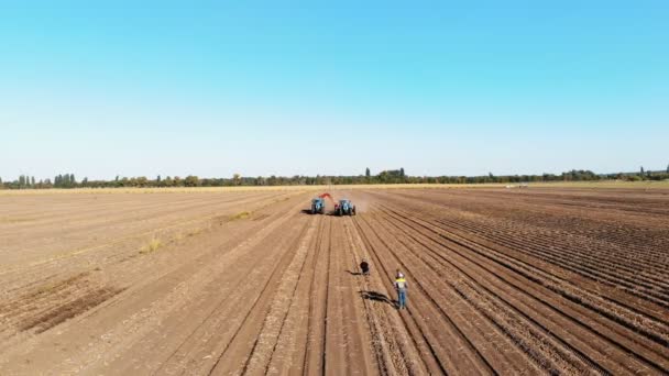 CHERKASSY, UKRAINE, 24 Σεπτεμβρίου 2021: συγκομιδή πατάτας. θεριστής πατάτας. Γεωργικά μηχανήματα, τρακτέρ με συγκομιδή πατάτας, συλλέγουν πατάτες, σε ένα αγρόκτημα. Έξυπνη καλλιέργεια. Αεροφωτογραφία. ηλιόλουστο — Αρχείο Βίντεο