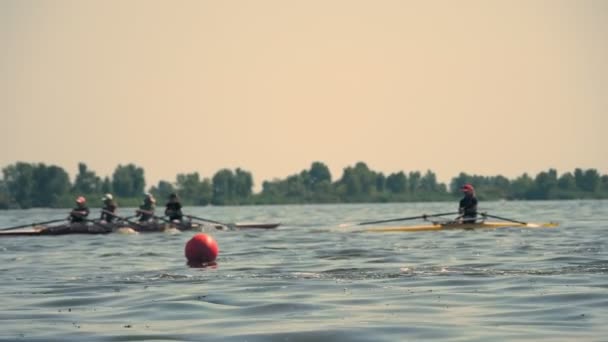 Roeiwedstrijd. Kanovaren. teams van mensen roeiriemen zitten in kajaks, zeilen langs een rustige rivier op zonnige zomerdag — Stockvideo