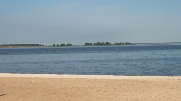 Rowing competition. people canoeing. teams of people rowing oars sitting in kayaks, sailing along a calm river on sunny summer day. view from the shore, beach. — Stock Video