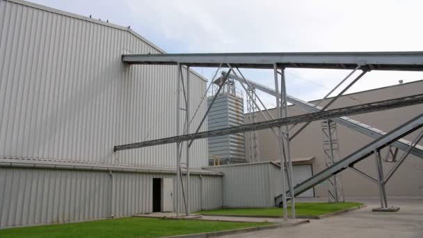 Fábrica de procesamiento de maíz. cinta transportadora automatizada entrega materias primas de un taller a otro, en la moderna planta de maíz — Vídeo de stock