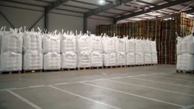 Tarım deposu. Depo. Torbalar dolusu mısır tohumu, tahıl. Tohum tedarik ve depolama için büyük bir tarım işletmesi deposu