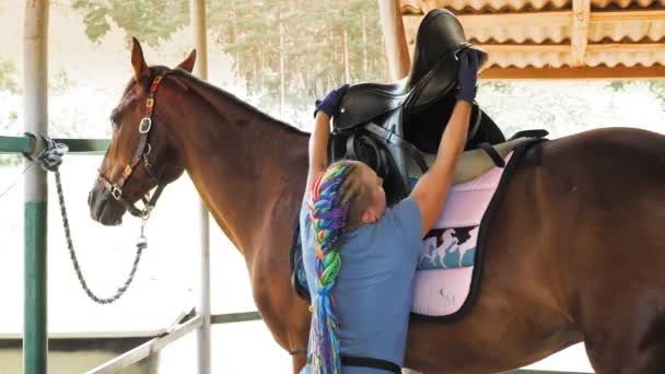 Hästvård. Horsewoman selar Bay Horse, förbereder palfrey för ridning. Ekvationer. Jockeyskepp. Ridsporten. Hästsport. Ridning. — Stockvideo