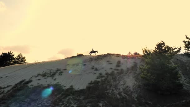 馬に乗って。方程式だ。シルエットの女性の砂の丘の上に馬に乗っている、松林の上に高くそびえる、日没で、暖かい夏の日差しの中で。日没の空の背景 — ストック動画